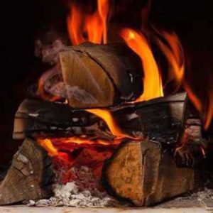 seasoned-firewood