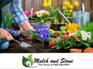 5 best garden soil products