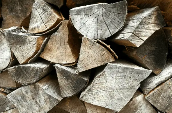 indoor fireplace with the best firewood producing high heat and minimal smoke