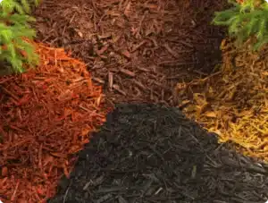 Colorful mulch varieties including black, brown, red, and yellow, arranged in a landscaped area, relevant to landscaping solutions and mulch options discussed in Mulch and Stone articles.
