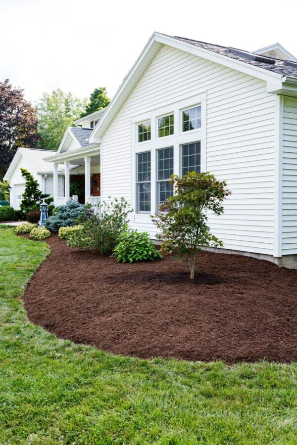 Brown Mulch In front of House