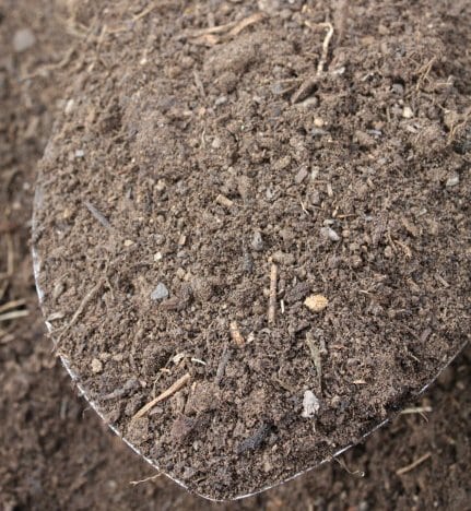 topsoil