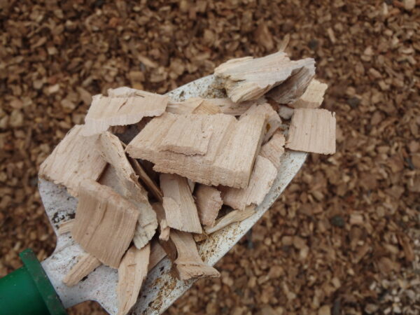 Wood chips on a shovel