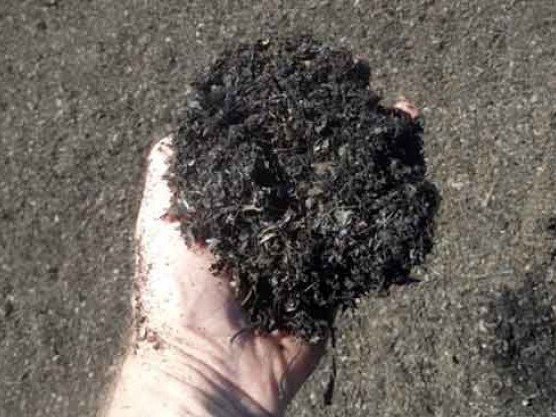Handful of leaf mulch for bulk delivery in Maryland and Virginia
