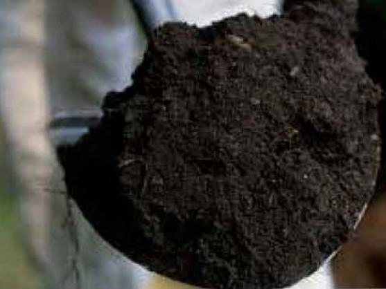 Orgro compost held in a hand, available for bulk delivery