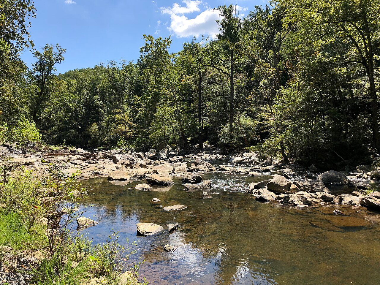 Difficult Run flowing through the forest in Great Falls Park