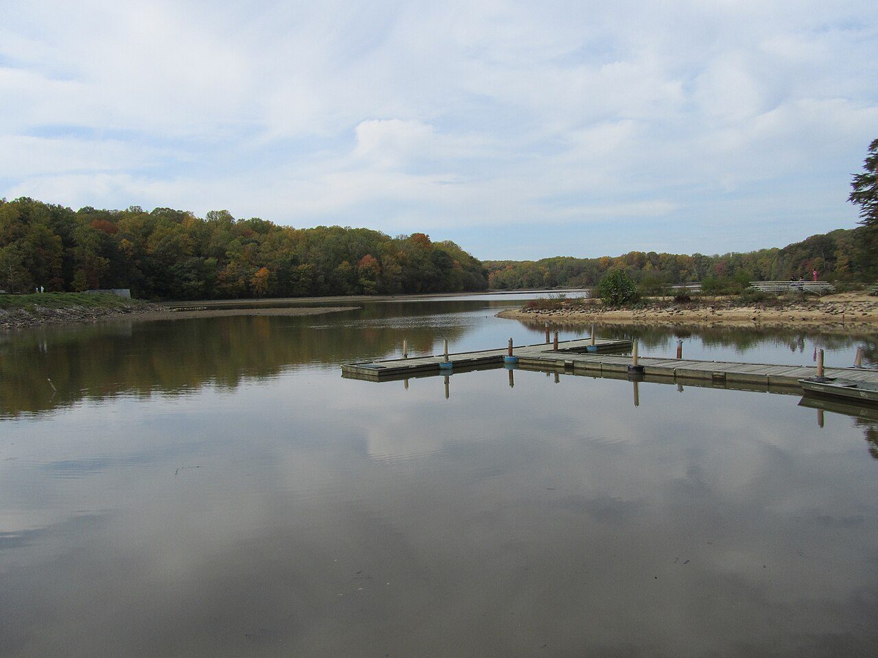Lake Accotink in Springfield with a floating dock and early fall color