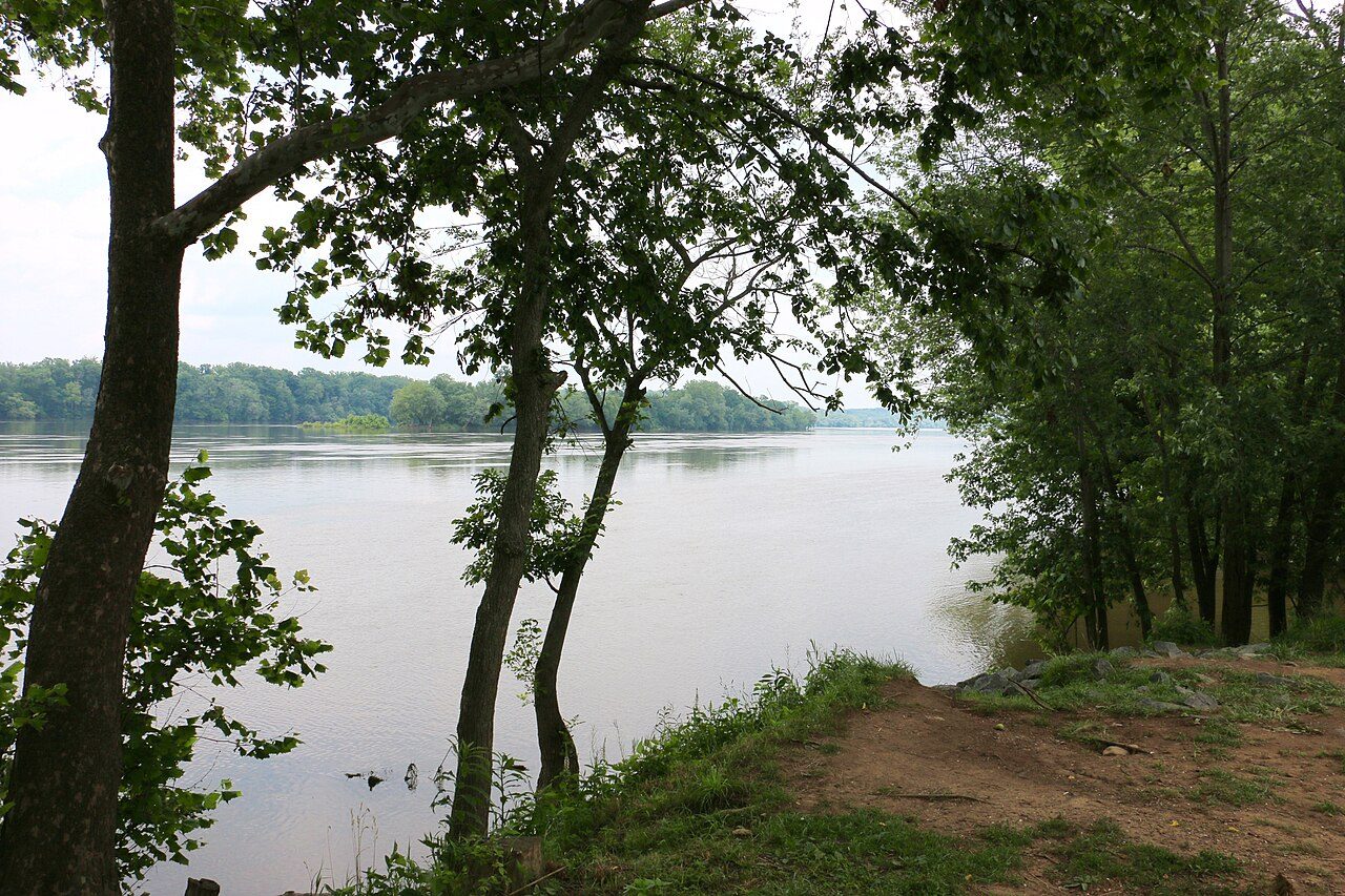 Potomac River through the trees at Algonkian Regional Park in Sterling