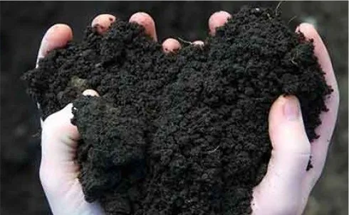 Bulk compost delivered in Maryland and Northern Virginia