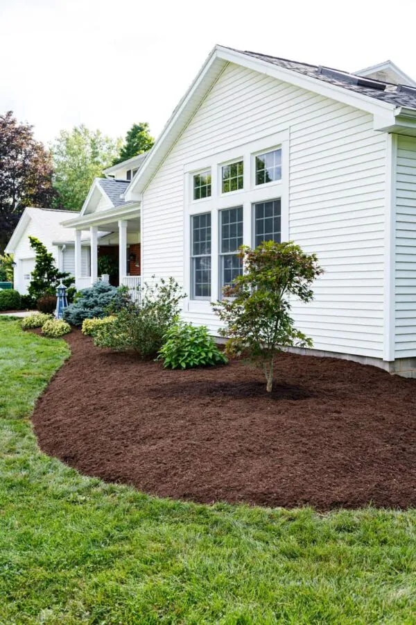 Brown Mulch In front of House