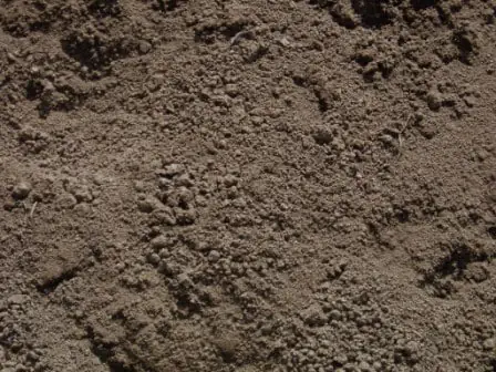 topsoil