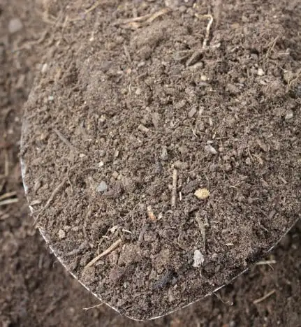 topsoil