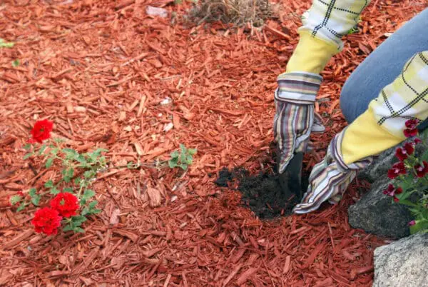 A gardener tends to the garden for planting flowers.