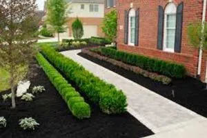 MULCH NEAR ME