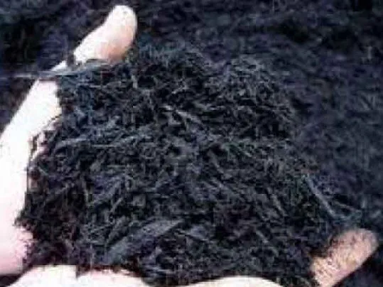 Close-up of black dyed hardwood mulch in a hand