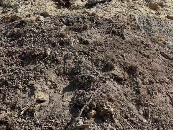 Close-up of fill dirt