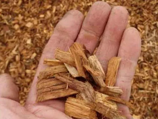 Playground mulch wood chips held in an open hand