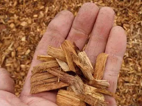 Playground woodchips held in a hand