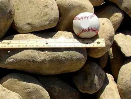 3-5 inch river rock with a baseball and ruler for size