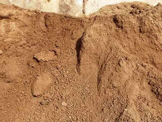 Close-up of screened topsoil
