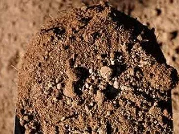 Read more about the article Compost Delivery Near Me